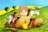 Die Kakao-Kuh und der falsche Fuß