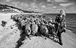 Uta Wree, die Wanderschäferin von Sylt. Hier zieht sie mit ihrer Herde über den Strand der Braderuper Heide. © © Volker Rüdel