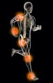 VHS-Vortrag: Arthrose verstehen- und was Robotik heute bei Knie-Hüftoperationen leisten kann